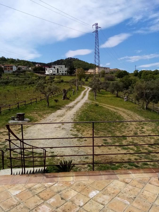 La Giara B&B San Demetrio Corone Buitenkant foto