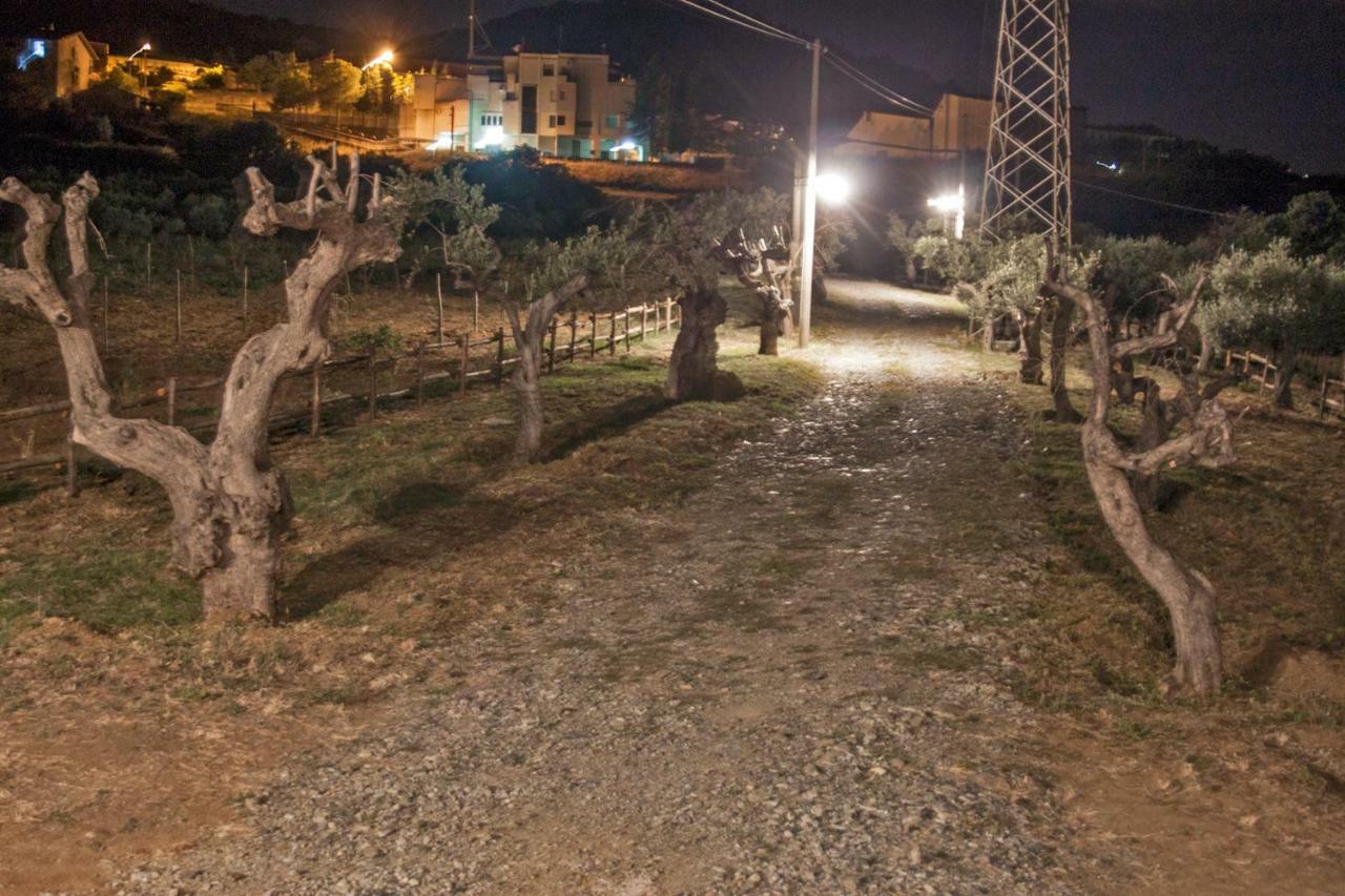 La Giara B&B San Demetrio Corone Buitenkant foto